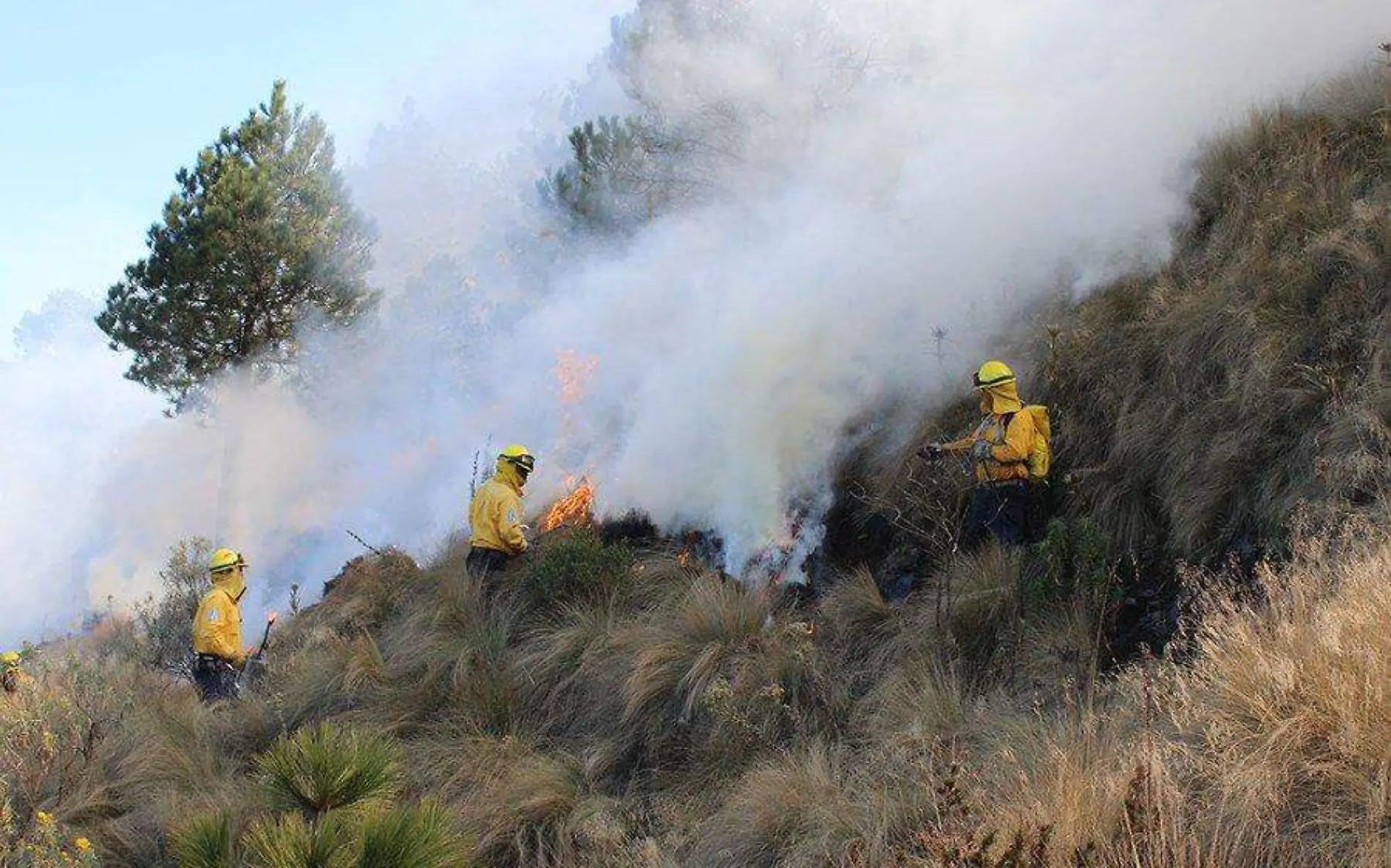 INCENDIOS FOTO CONAFOR (NO ES ACTUAL)